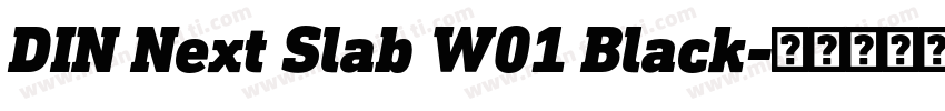 DIN Next Slab W01 Black字体转换